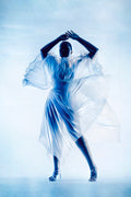 #1. "Shadow Dancing" by Denise Pike Mini Print 4x6"