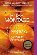 Bliss Montage: Stories - Ingram