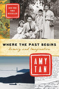 Where the Past Begins: Memory and Imagination - Ingram